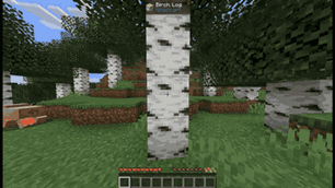image-attachment_8e513c13-fb1e-46be-9c4e-b4fcea00a9e5.gif