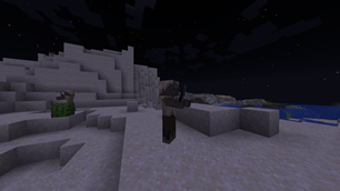 Husk With Flint & Steel