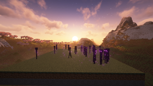 Enderman Grief Control: Enabled