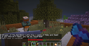 Hide and Seek
