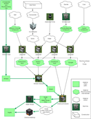 Rockhounding flowchart