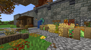 Community Garden