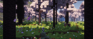 Blossom Scarp x2