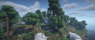 Outcrop Woods