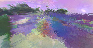LSD Trip