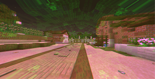 Mushroom Trip