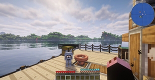 6-deck-dog-and-hud.jpg