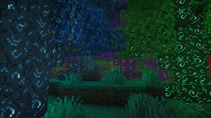 Magic forest