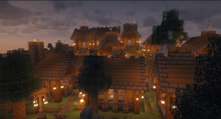 Village