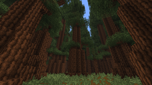 2026-09-08_12.31.14.png