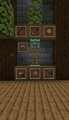 Turtle helmet and other items