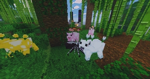 Flower cows and bone spider