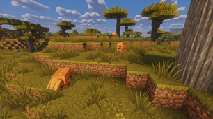 Animal animations