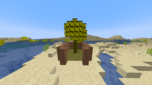 Ginkgo Tree.png