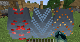elytra with trims
