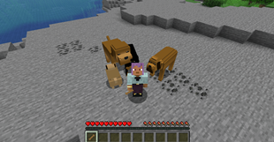 Screenshot 2026-09-08 155134.png