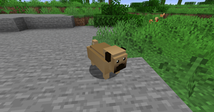 Screenshot 2026-09-08 155139.png