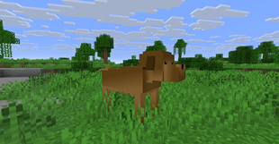 Screenshot 2026-09-08 155144.png
