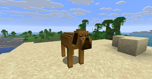 Screenshot 2026-09-08 155149.png
