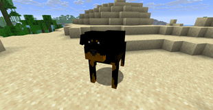 Screenshot 2026-09-08 155154.png
