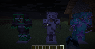 armor with trims