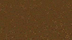 2026-09-08_16.59.36.png