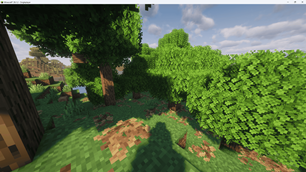 The Forest
