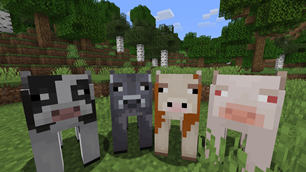 Cows