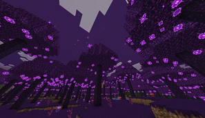 2026-09-09_12.22.38.png