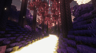 New Dimension