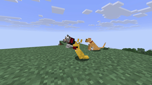02-painted-cat-dog-parrot-together.png