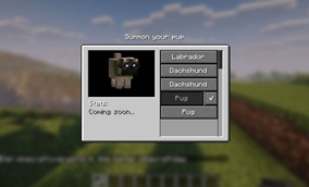 Dog Whistle Screen