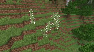 Generated wild tobacco