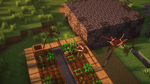 Deers