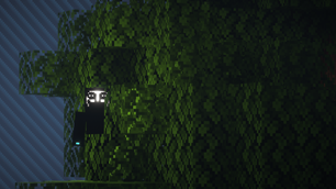 Knocker In The Tree