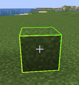 Outline on Grass