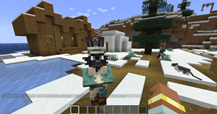 Haregon Villager 02