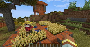 Haregon Villager 03