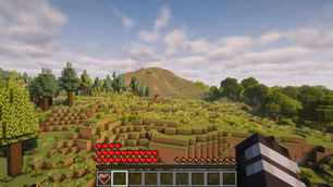 Default Hud