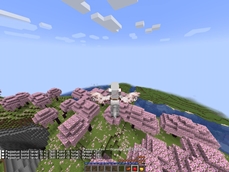 Fly the skies on your own Pegasus