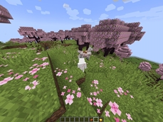 Tame, mount, and ride your Pegasus