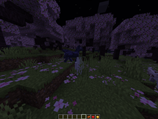 Coat variants nightsky
