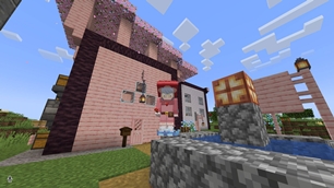 Boletta's Pink Dreamhouse