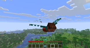soul elytra.jpg