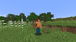 Player smoking a stuffed smoking pipe