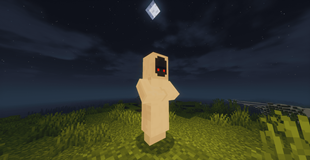 Pocong