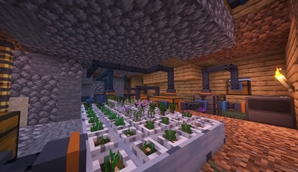Demonstration of a crop and tree farm