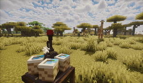 first_bloom