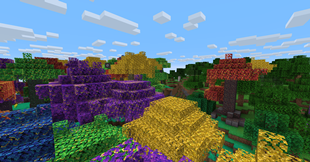 Rainbow Forest