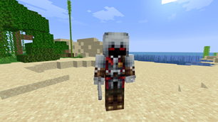 ASSASIN